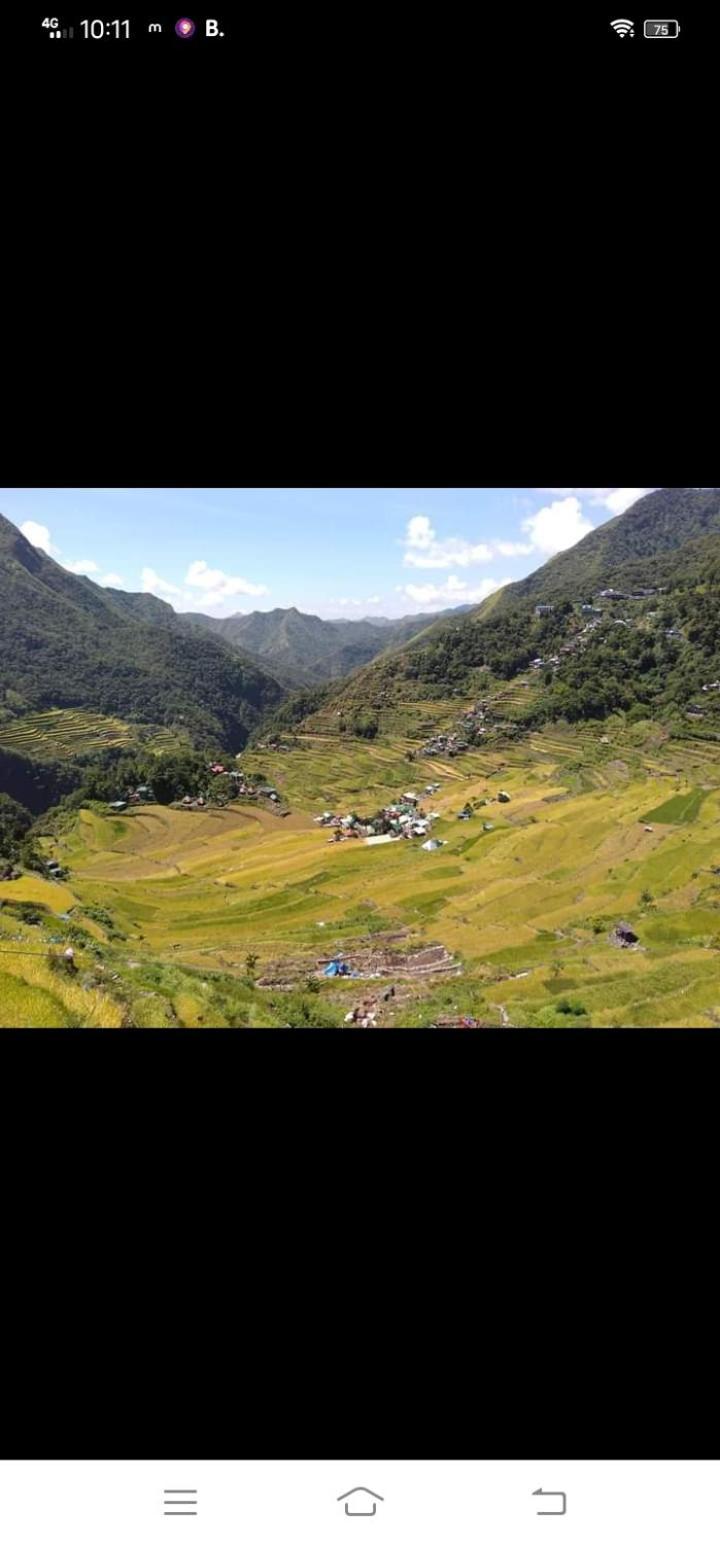 Batad Village Homestay & Restaurant Banaue Eksteriør bilde